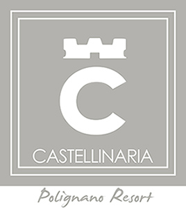 castellinaria logo castellinaria logo
